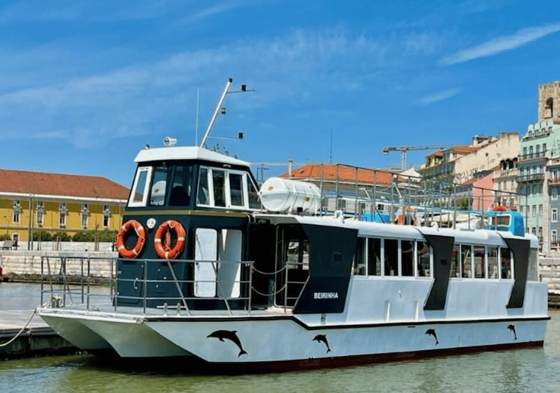 Picture 8 for Activity Lisbon: Tagus River Cruise to the Ocean & Dolphin Watching