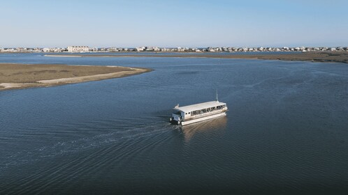 Murrells Inlet: Ekotur i saltvattensmyr med strandkamning