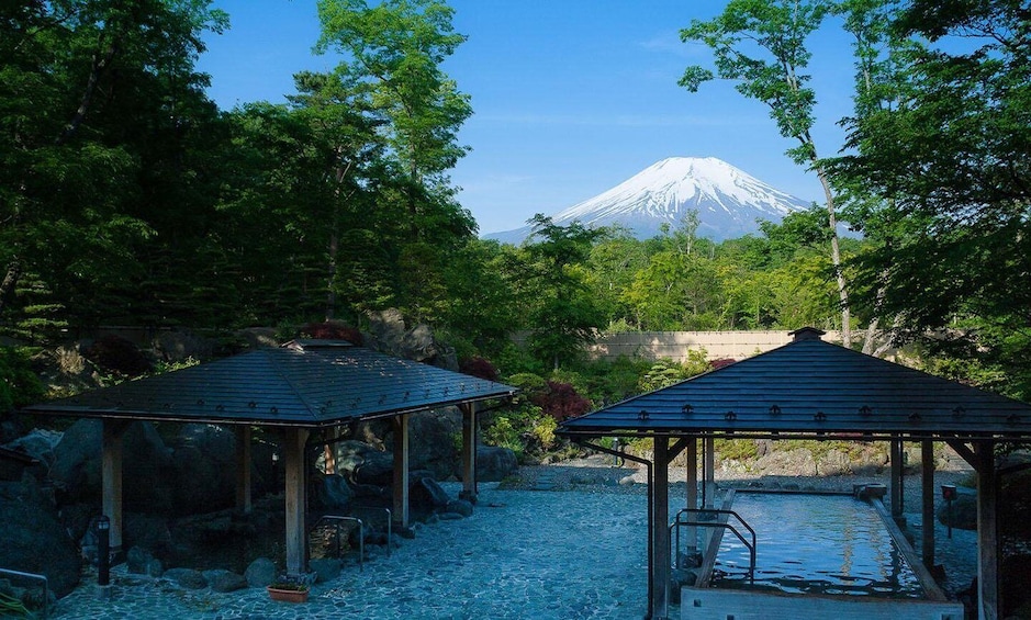 From Tokyo: Mount Fuji Day Trip with Yamanakako Hot Springs