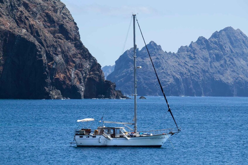 Picture 2 for Activity Funchal: Atlantic Festival Fireworks & Bay Sailing Trip