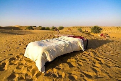 Depuis Jaisalmer : Voyage privé sous les étoiles avec safari à dos de chame...