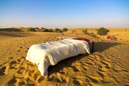 Jaisalmerista: Jazmermermer: Private Trip Under Stars with Camel Safari