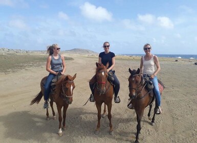 Aruba: 2-Hour Private Horseback Ride