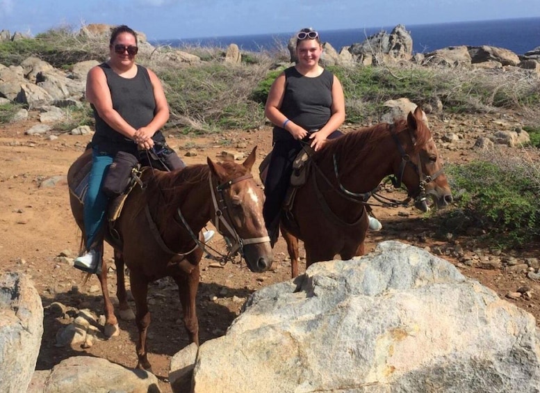 Picture 2 for Activity Aruba: 2-Hour Private Horseback Ride