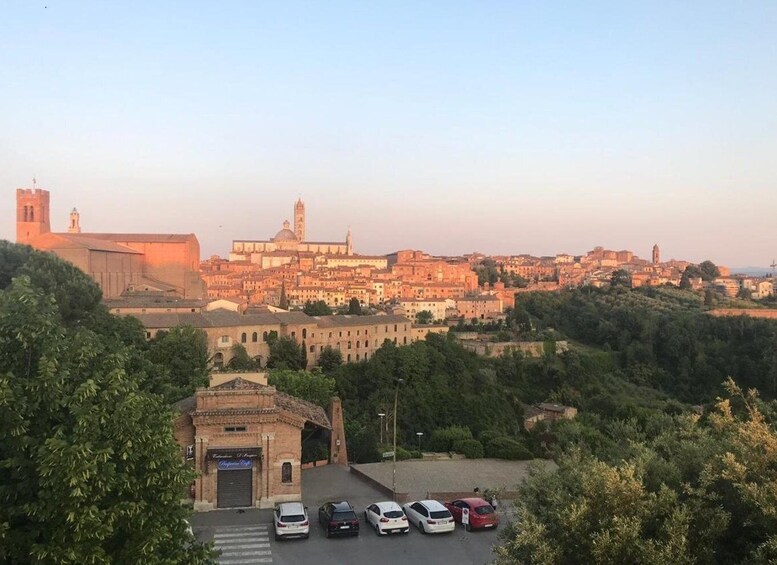 Picture 9 for Activity Siena: 3h Private City Walking Tour with Optional Cathedral