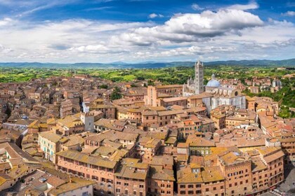 Sienne: visite à pied de la ville privée de 3h avec cathédrale en option