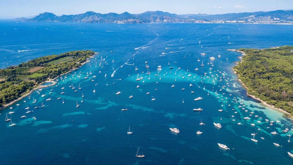 Picture 4 for Activity Cannes: Private Boat Tour to the Lérins Islands