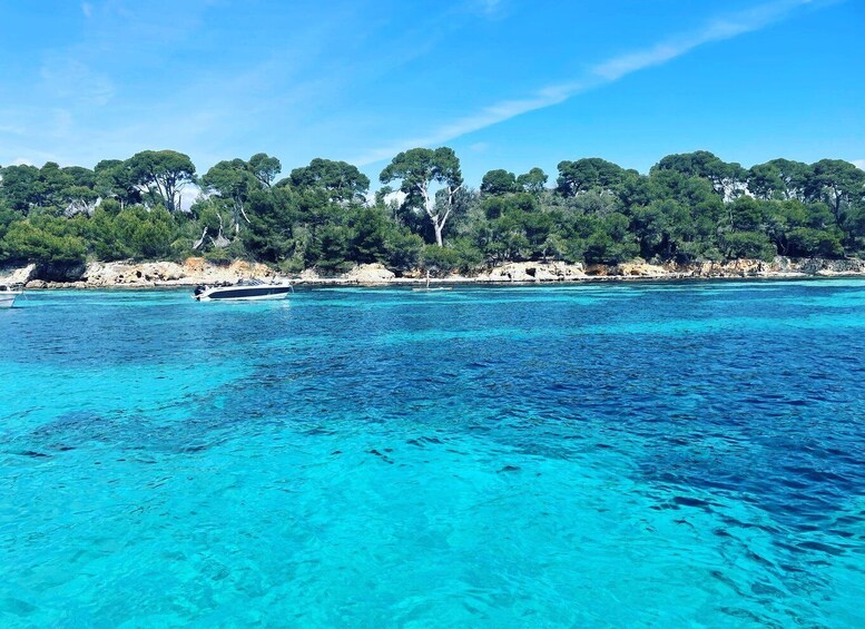 Picture 2 for Activity Cannes: Private Boat Tour to the Lérins Islands