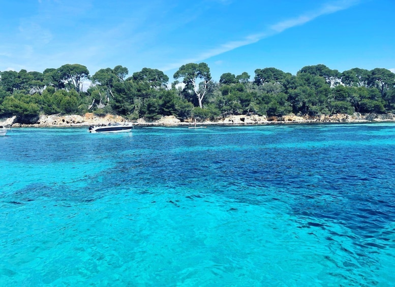 Picture 2 for Activity Cannes: Private Boat Tour to the Lérins Islands