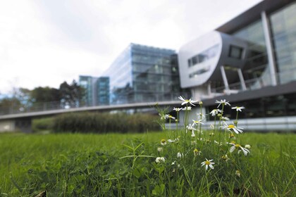 Dresden: Die Gläserne Manufaktur von VW Private Tour