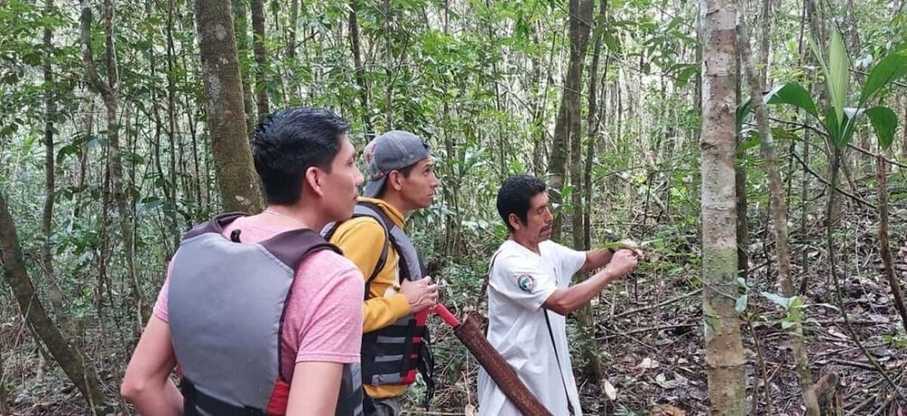 Picture 3 for Activity From Palenque: Naha Center and Lacandona Jungle Tour