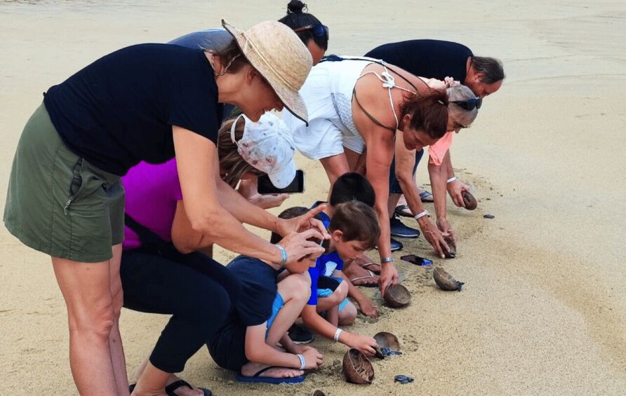 Picture 3 for Activity From Huatulco:Turtle Release and Bioluminescence Tour