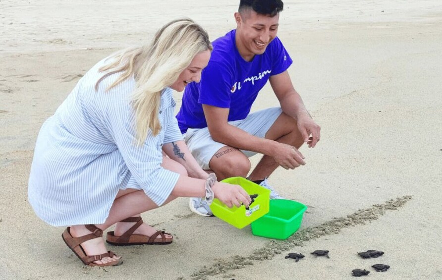 Picture 2 for Activity From Huatulco:Turtle Release and Bioluminescence Tour