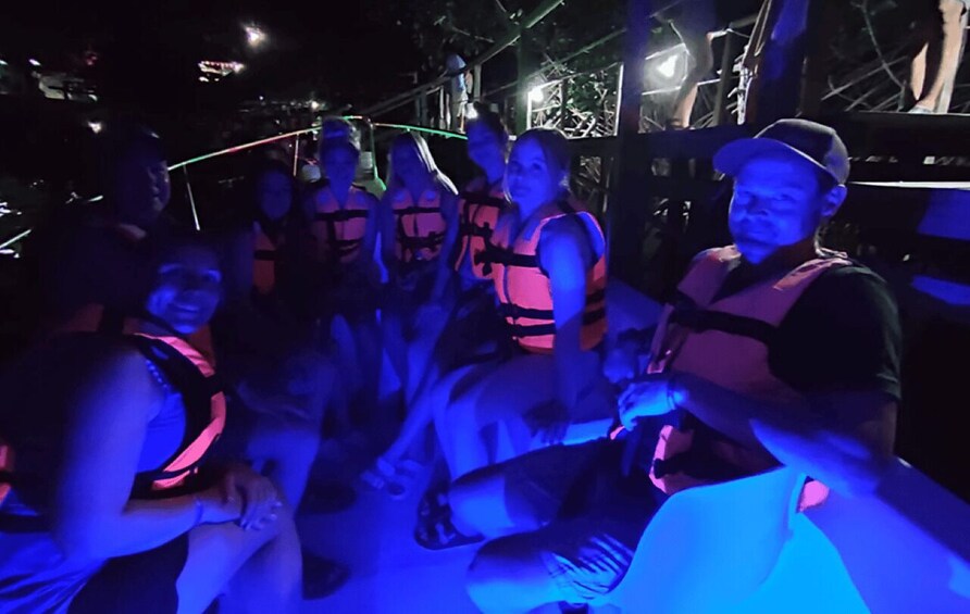 Picture 1 for Activity From Huatulco:Turtle Release and Bioluminescence Tour