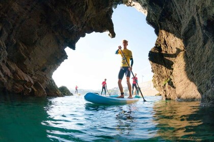 Newquay: Paddleboarding Lesson & Tour