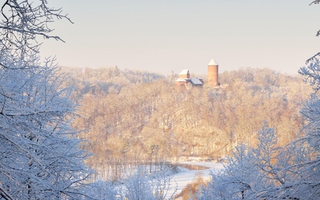 From Riga: Group Tour to Sigulda and Turaida