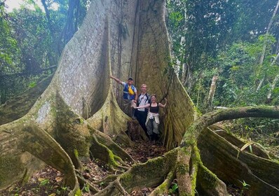 Iquitos: Full Day | Wild Life