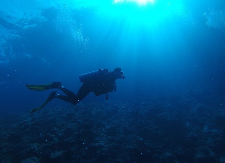 Picture 3 for Activity Night Diving in Negombo