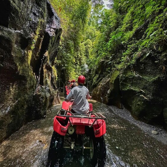 Picture 5 for Activity Ubud: Jungle, Waterfall, and Tunnel ATV Tour & Lunch Options