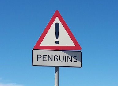 Au départ du Cap : Cap de Bonne Espérance privé guidé excursion