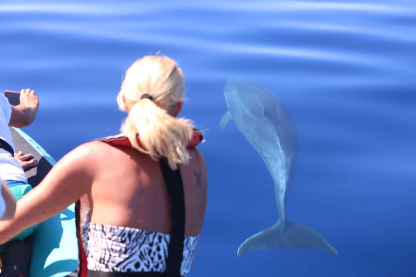 Picture 1 for Activity From Calheta: Whale and Dolphin Watching RIB Boat Tour