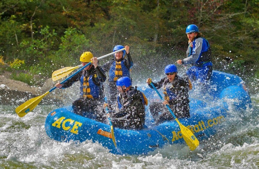 Picture 1 for Activity Whitewater Rafting on the Fall Lower Gauley - Saturday