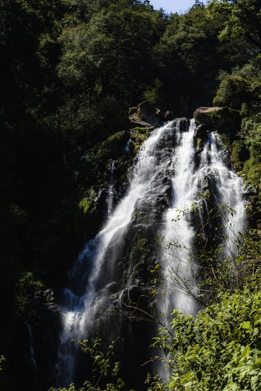 Picture 4 for Activity Day excursion to Diyaluma water fall from Galle Weligama