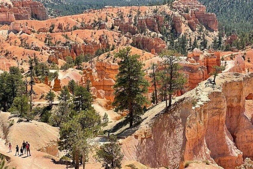 Picture 1 for Activity From Las Vegas: Private Tour to Zion National Park