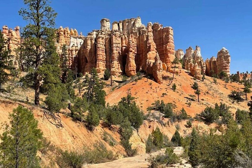 From Las Vegas: Private Tour to Zion National Park