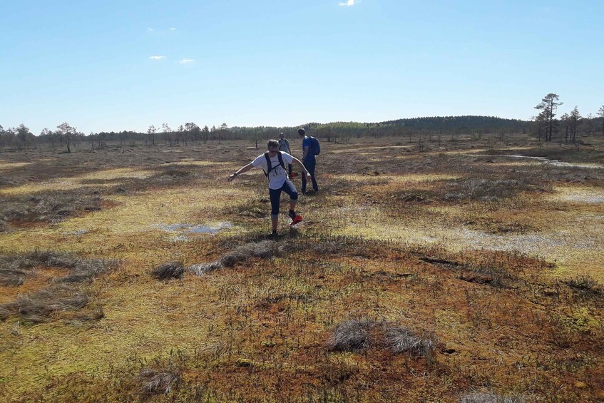 Picture 8 for Activity From Tallinn: Guided Bog-Shoe Hiking Tour