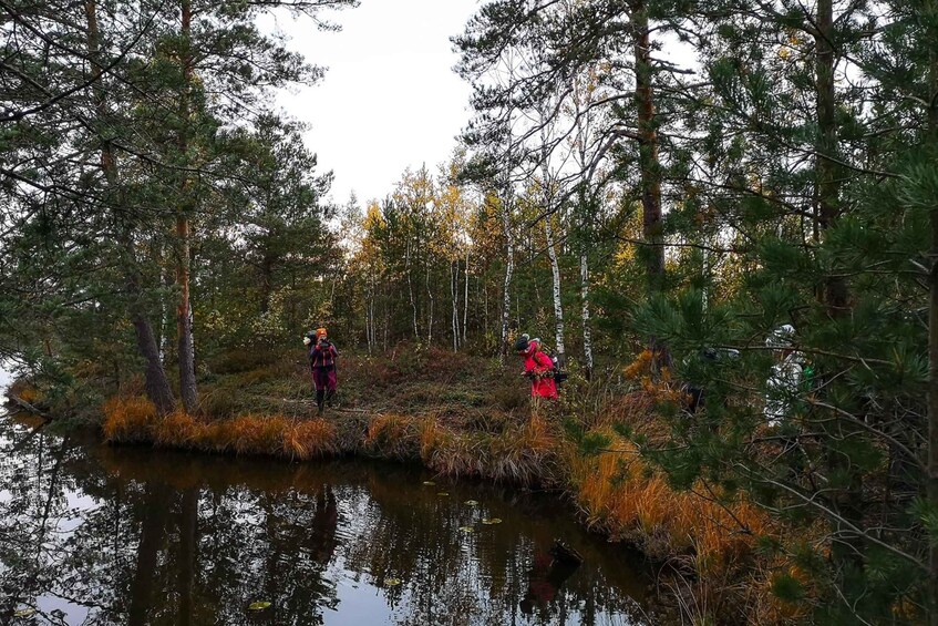Picture 10 for Activity From Tallinn: Guided Bog-Shoe Hiking Tour