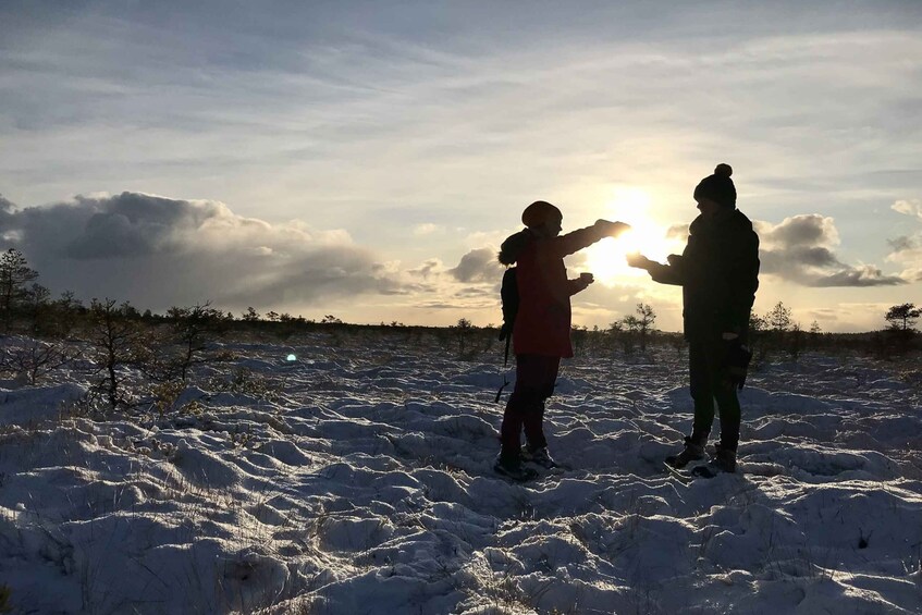 Picture 5 for Activity From Tallinn: Guided Bog-Shoe Hiking Tour