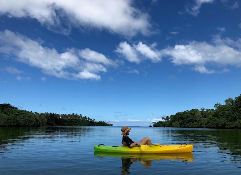 Picture 3 for Activity Port Vila: Small Group Half-Day River Kayaking Tour