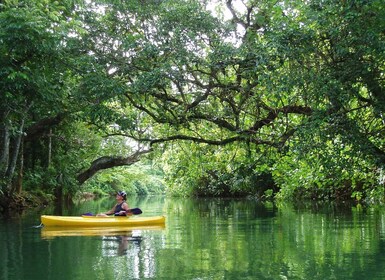 Port Vila: tour de medio día en kayak por el río en grupos pequeños