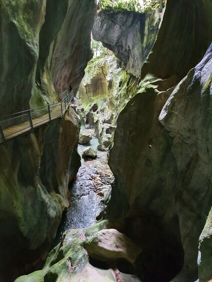 Picture 3 for Activity Montreux Private Tour: Waterfalls Valley&Aareschlucht Gorge