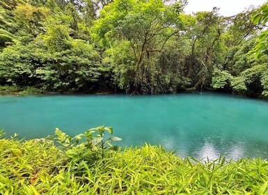 Rio Celeste: Rainforest, Sloths and Wildlife.