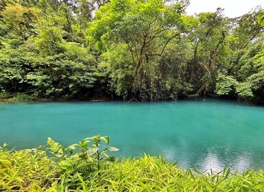 Sloth Tour and Rain Forest hike to see Rio Celeste Waterfall