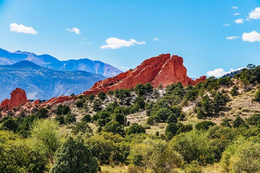 Picture 1 for Activity Colorado Springs: Garden of the Gods and Foothills Jeep Tour