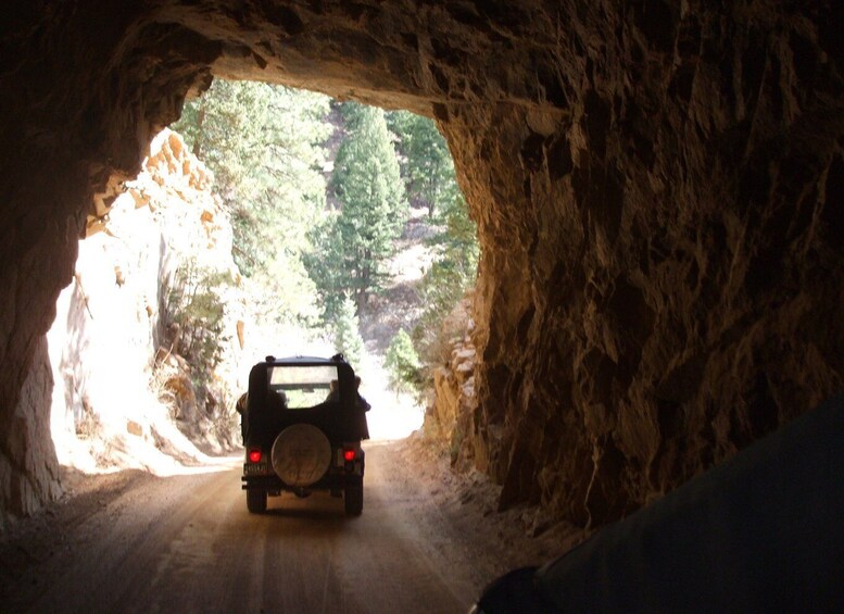 Picture 4 for Activity Colorado Springs: Garden of the Gods and Foothills Jeep Tour