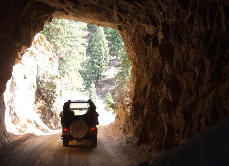 Picture 4 for Activity Colorado Springs: Garden of the Gods and Foothills Jeep Tour