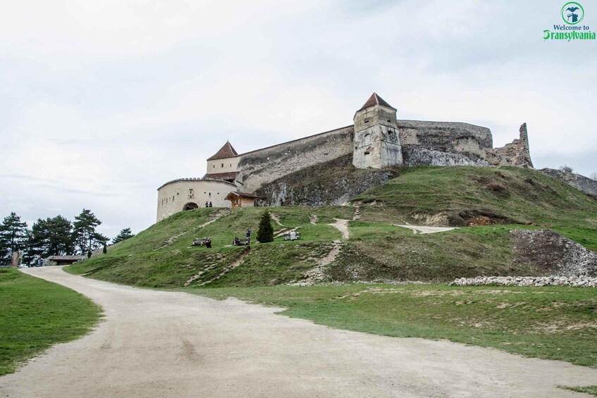 Picture 7 for Activity Day trip Bran Castle, Rasnov Fortress and Bear Sanctuary