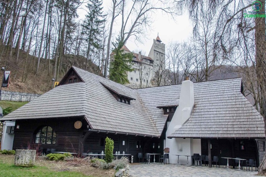 Picture 3 for Activity Day trip Bran Castle, Rasnov Fortress and Bear Sanctuary