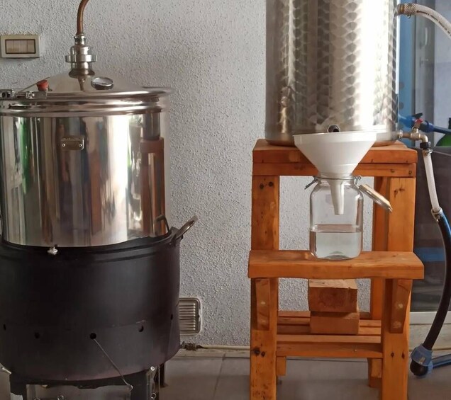 Picture 2 for Activity Olbia: visit an original myrtle gin workshop with tasting