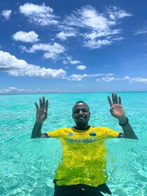 Snorkelling and swimming with dolphins in mnemba island