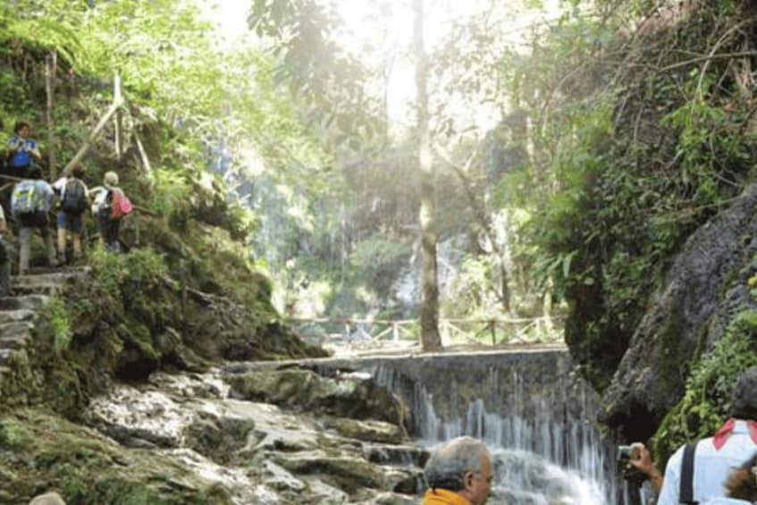 Picture 3 for Activity Valle delle Ferriere Trekking Shared Tour