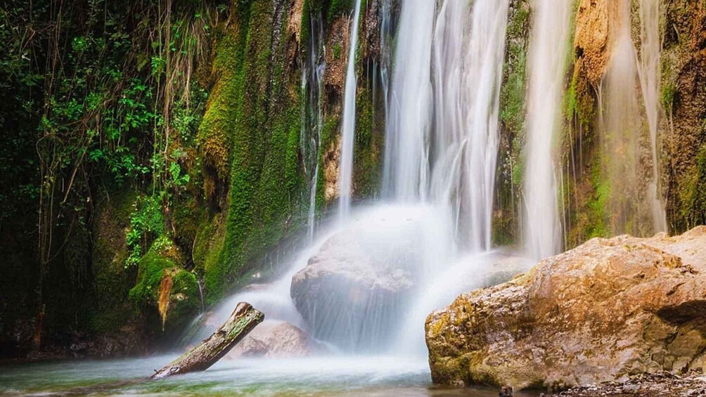 Picture 3 for Activity Valle delle Ferriere Trekking Shared Tour