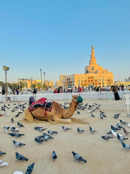 Picture 5 for Activity Doha City Sightseen Tour & Dhow Boat Ride (Private Tour)