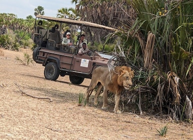 From Zanzibar: Best Day Safari Mikumi with flights and lunch