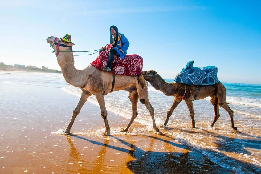 Picture 14 for Activity Agadir: Paradise Valley & Desert Sand Dunes With Camel Ride