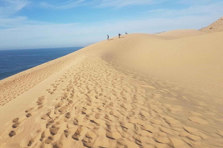 Picture 9 for Activity Agadir: Paradise Valley & Desert Sand Dunes With Camel Ride